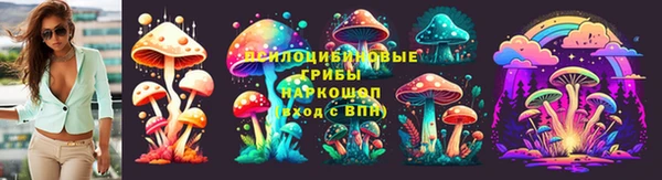 прущий лед Михайловск